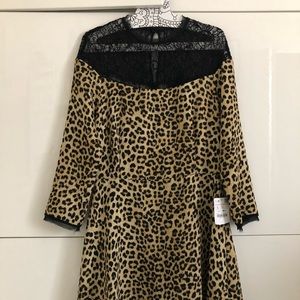 Zara Cheetah Print Dress